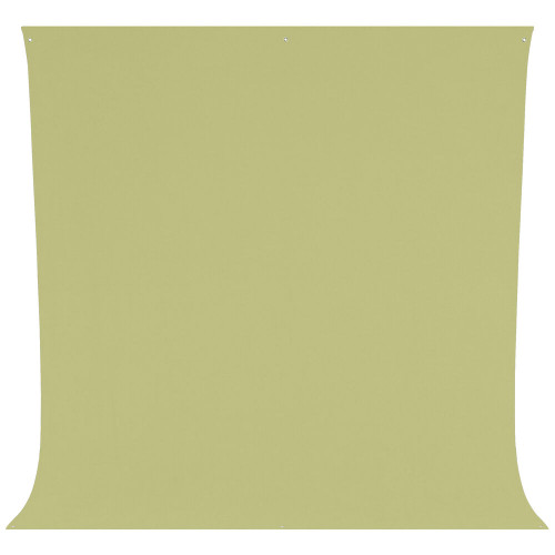 Westcott Wrinkle-Resistant Backdrop (Light Moss Green, 9 x 20')