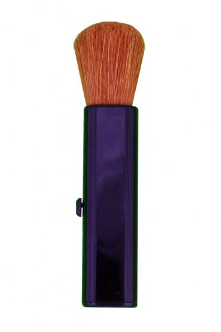 Retractable Brush