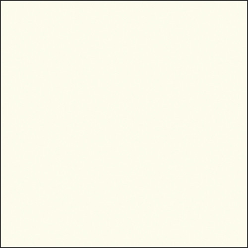 Savage Widetone Seamless Background Paper (#50 White 53" x 36' )