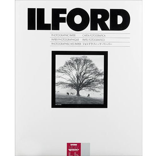 Ilford - Multigrade IV RC Portfolio Paper (Pearl, 11 x 14", 10 Sheets)