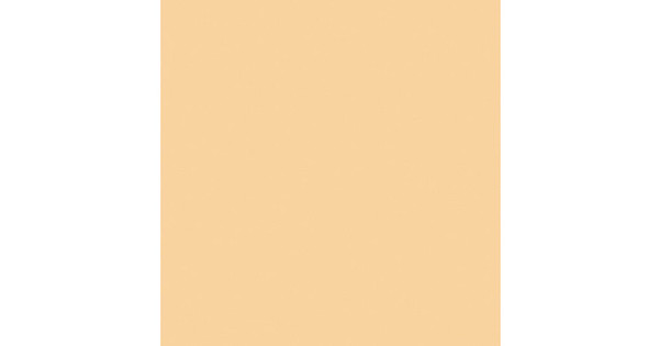 Rosco Cinegel #3442 Filter - 1/2 Straw CTS - 20x24" Sheet