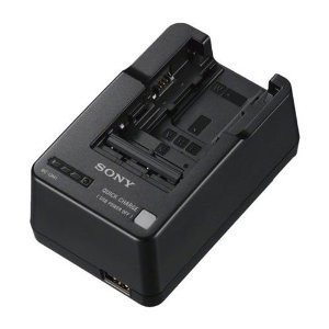 Sony - BCQM1 Compact Battery Charger ,For InfoLithium H, P, V, M, W Batteries