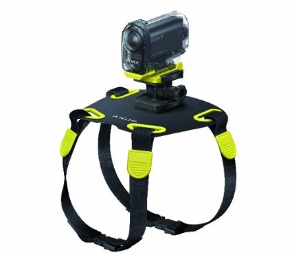 Sony - AKADM1 Action Camera Mount for Dogs (Black Yellow)