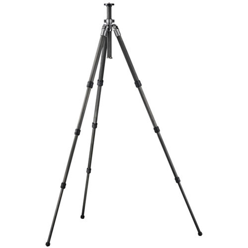 Gitzo - GT2541 Mountaineer 6X Carbon Fiber Tripod Legs