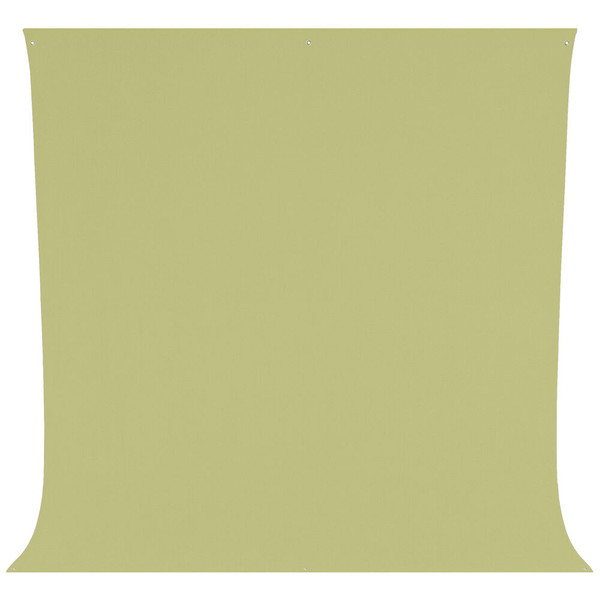 Westcott - Wrinkle-Resistant Backdrop (Light Moss Green, 9 x 10')