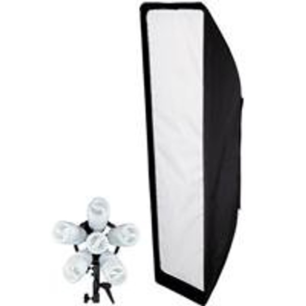 Westcott Q22012A Spiderlite TD6 Daylight 12-Inch x 36-Inch Stripbank Kit - 1200 watts (Black/Silver))