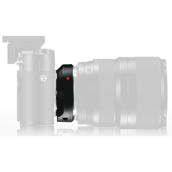 Leica - R Adapter M CAT# 14642