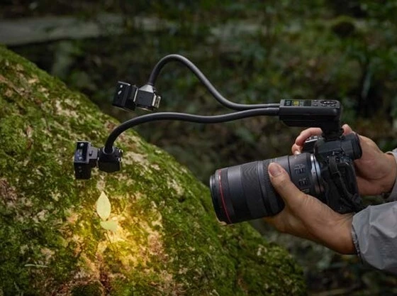 Godox MA2 in Macro Photography