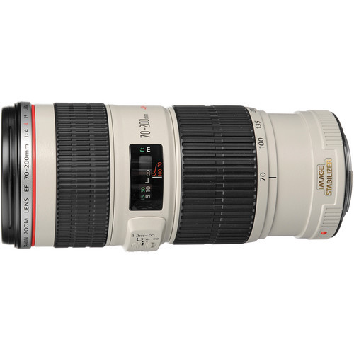 Canon EF 70-200mm f/4L IS USM at Ace Photo