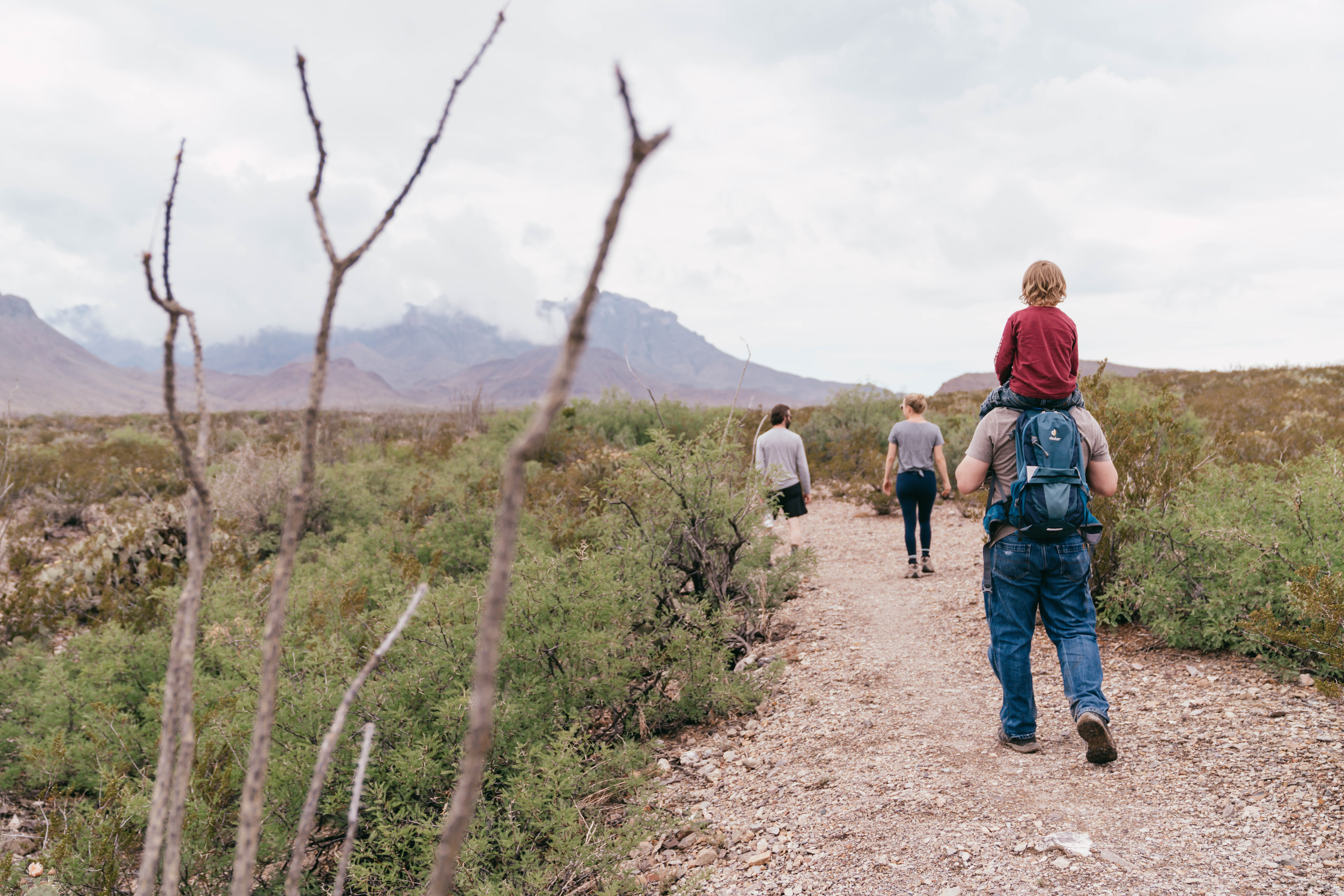 Hikers