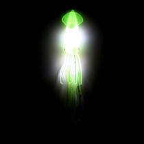 Everything Eats Squid - Transluent Lime Everything Eats Squid - Transluent Lime