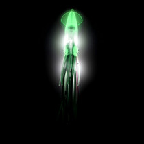 Everything Eats Squid - Luminous Green with Red Stripe Everything Eats Squid - Luminous Green with Red Stripe