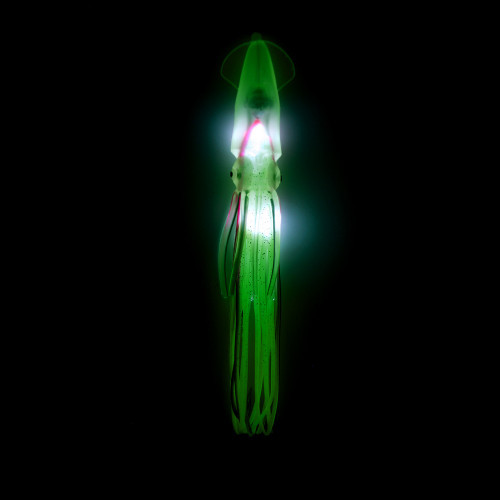 Everything Eats Squid - Glow in Dark Green with Red Stripe