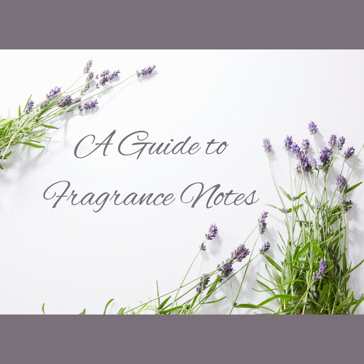 A Short Guide to Fragrance Notes