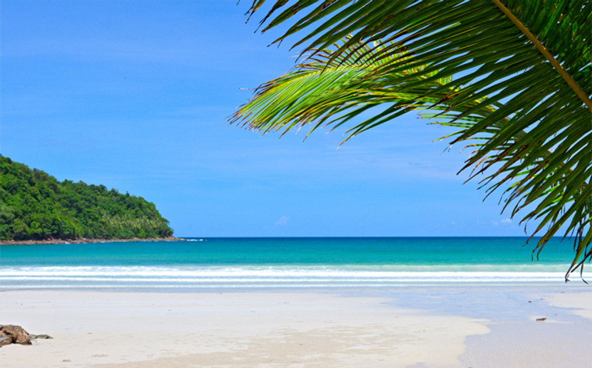 DREAMING OF THE TROPICS?  DREAMING OF THE TROPICS?