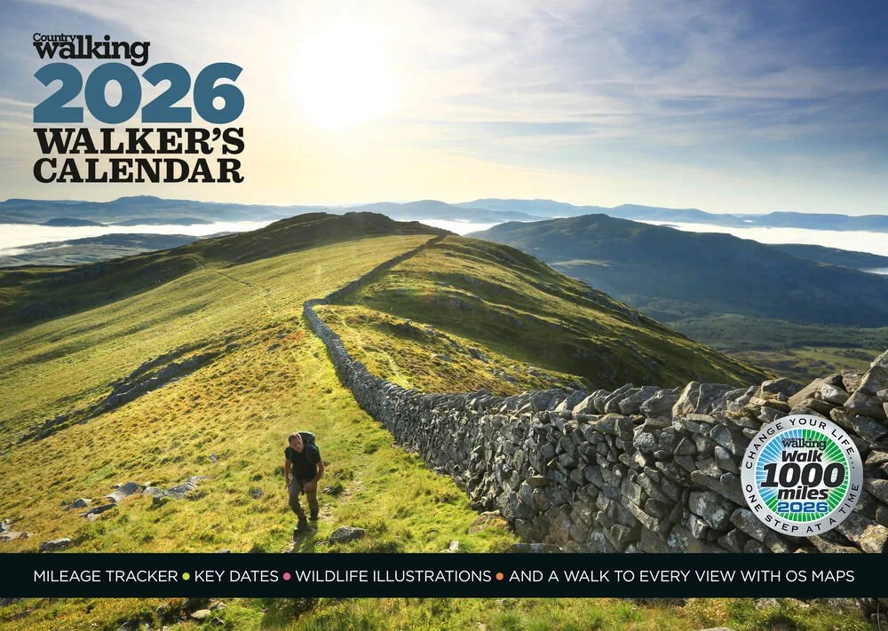 How to Master Map Walkers 2026 Ultimate Guide