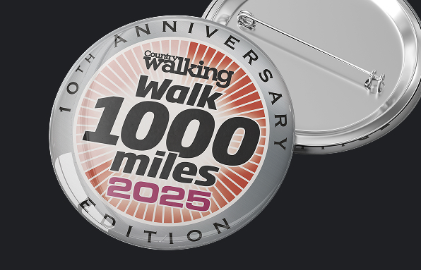 2025 Badge 2025 Badge