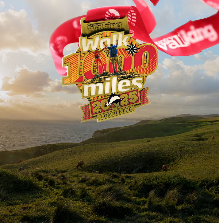 You Deserve a Medal You Deserve a Medal