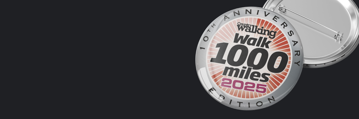 2025 Badge 2025 Badge