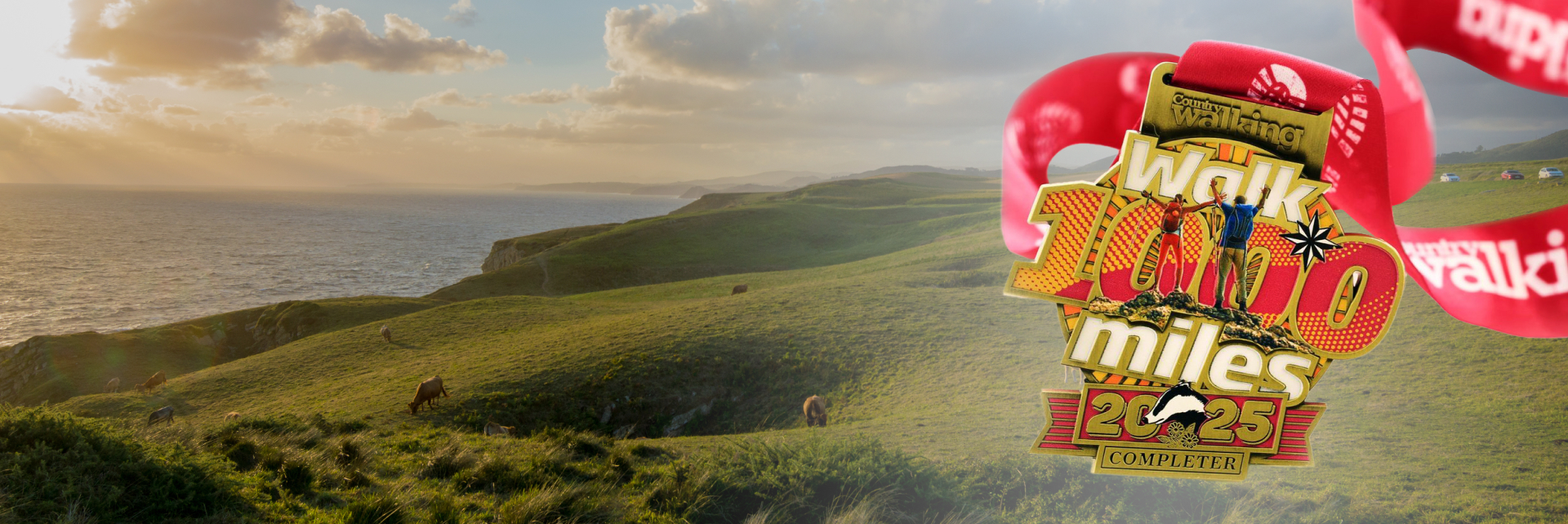 You Deserve a Medal You Deserve a Medal