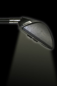 Lumina 200 LED Floodlight