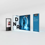 8ft Infinity DNA™ Pro Lightbox - 2480L