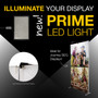 Prime LED Light