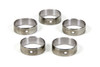 Cam Bearing Set