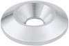 Countersunk Washer 1/4in x 1in 50pk