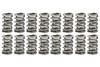 1.550 Dual Valve Springs