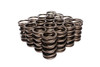 Dual Valve Springs 1.476 Dia. .712 ID.