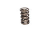 1.437 Dia. Dual Valve Springs- .695 ID.