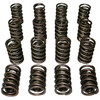 Dual Valve Springs - 1.514