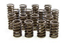 1.260in Valve Springs