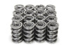 1.600 Dual RAD Valve Springs