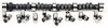 Voodoo Cam & Lifter Kit SBM - .513/.533