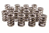 1.500in Valve Springs