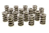 1.625 Dual Valve Springs - (16)