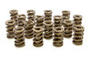 1.550 Dual Valve Springs - (16)