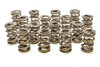 1.645 Triple Valve Springs - (16)