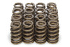 1.250 Valve Springs - Ovate Beehive