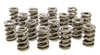 1.550 Dual Valve Springs (16)