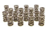 1.550 Dual Valve Springs (16)