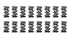 1.681 Triple Valve Springs  (16)