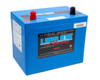 16 Volt 2 Post Battery