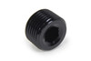 NPT Allen Plug 1/2