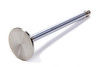 1.600 Exhaust Valve 11/32 x 4.940 Steel 1pk