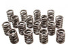 1.435in Valve Springs - Olds