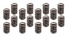 1.540 Valve Spring Set 16