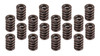 1.460 Valve Spring Set 16